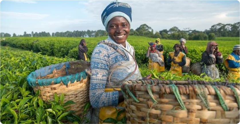 Smiling woman in a plantation